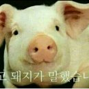 명륜진사갈비 서면점 이미지