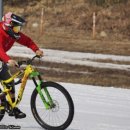 시디총판 이미지