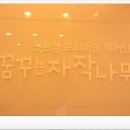 꿈꾸는 자작나무 이미지