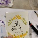 일러스트 캘리그라피 이미지