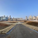 연기면_호수공원중앙수목원로 이미지