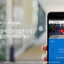 앨리스(Alleys) 이미지