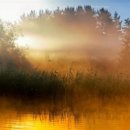 꿈꾸는 별 이미지