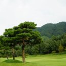 블루원용인CC 이미지