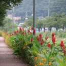 경안천 운학동 이미지