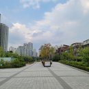 도꼭지