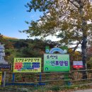 소선암휴양림매점