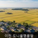 정읍시 고택문화체험관