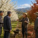 ＜Majestic Crabapple Trees＞ 위풍당당 - 윤동재 시인의 ＜위풍당당 꽃사과나무＞ 이미지