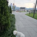 한터치과 네이버블로그