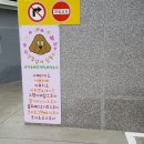 약꾹옆에서 이미지