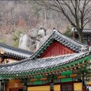 경충대로2709번길 이미지