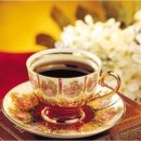 건강한사람들 이미지