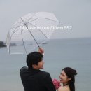 옹쥬 | [인천 스냅] 우중웨딩스냅♥ (호우주의보)