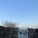 바르스테이 | 제주 협재 에어비앤비 추천/제주도 감성숙소 추천/제주 서쪽숙소 추천/제주 협재 숙소 추천/&#34;바르스테이&#34;