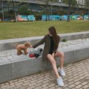 푸딩포토 이미지