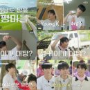 우리똥강아지 뉴스엔
