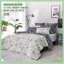이브자리수원