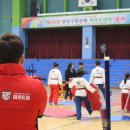 태낭태사 태권도 이미지