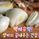 백해유익 양파의 끝내주는 건강효능 이미지