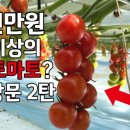 천만농장2 이미지