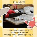 대산전통시장 이미지