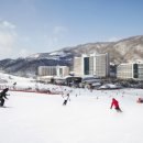 비발디파크 스키월드 이미지