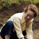 뉴욕미나리 이미지