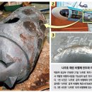 이란에 “나무호 공격 책임지라” 25척 무사 귀환 압박 외교를 하라 이미지