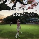 창원 CC | 창원 CC 골프초보 라운딩 후기 (25/11/15/토요일 17:51방문) 11월 초겨울 라운딩 준비물