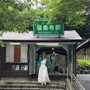 운동화구두빨래방 | 도쿄 여행 신발 추천, VIVAIA 비바이아 Cristina 리본 운동화 후기 (할인코드)