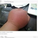 마인갤러리 이미지