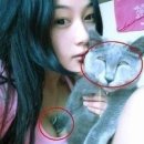 조으냥 이미지