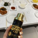 포레스트 캣호텔 이미지