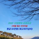 상남동239 이미지