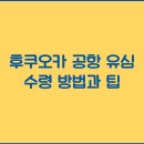 수령도 티스토리
