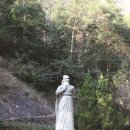 일품 이미지