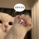 엠제이뮤직 | [💍 W.05]르랑필름 MJ컨벤션 본식DVD 계약후기 (추천인코드)