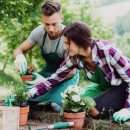 글로벌세탁 이미지