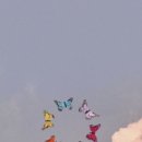 라인 스튜디오