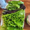 보람식당 이미지