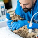 아이힐 동물병원 이미지