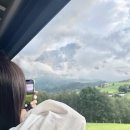 자바라무인호텔 | 🇨🇭스위스 그린델발트 숙소✨ elements lodge 엘리먼츠롯지 (feat. 2층 4층 숙소뷰 비교 , 취사가능 후기)