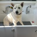 멍즈니랜드 이미지