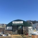 잔디놀이터 | 시흥 애견카페 | 천연잔디 운동장 ‘호두네 놀이터’ 솔직후기