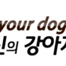 얌얌스낵 이미지