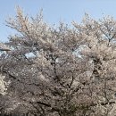 덕풍천동로 이미지