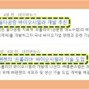 보란파마 이미지