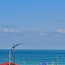 어달,아리 이미지