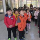 새빛솔금 이미지